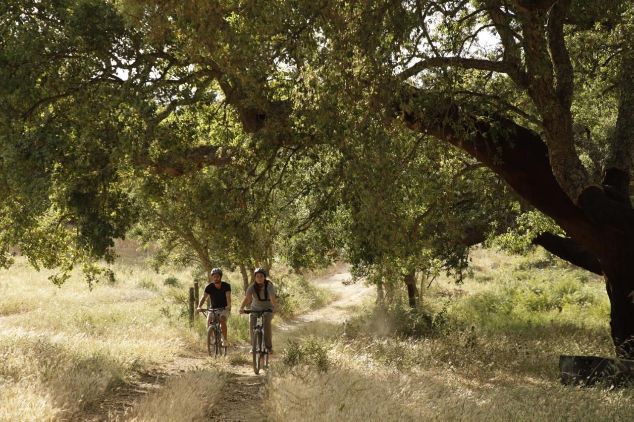 Cercal do Alentejo Herdade Da Matinha Country House & Restaurant מראה חיצוני תמונה