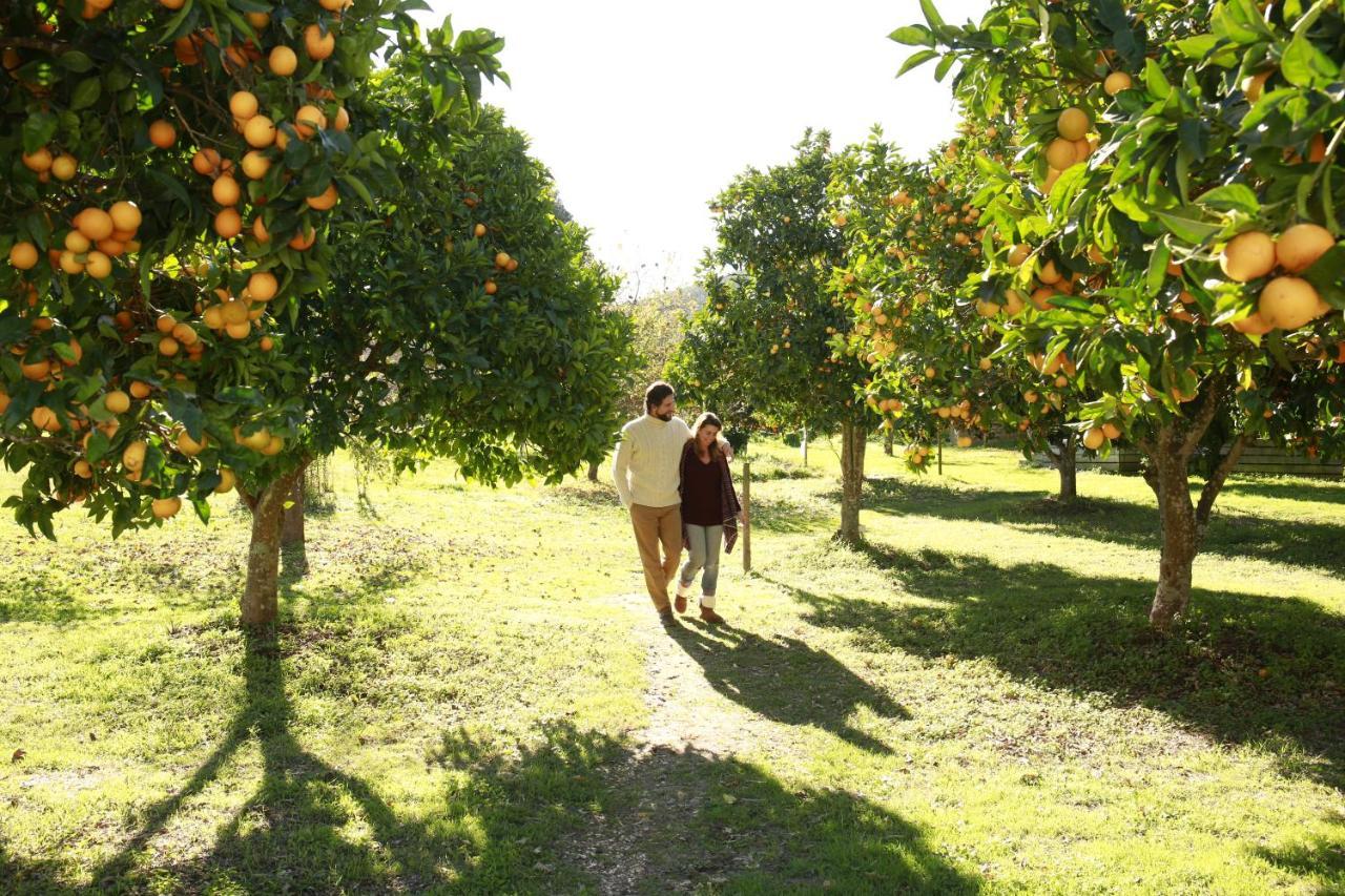 Cercal do Alentejo Herdade Da Matinha Country House & Restaurant מראה חיצוני תמונה